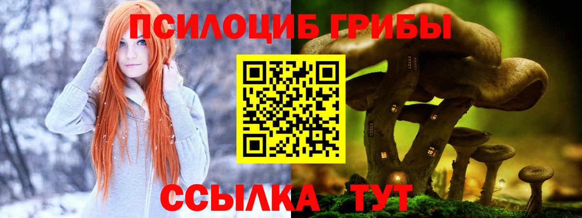 как найти закладки  Вход с VPN  Янаул  Галлюциногенные грибы мухоморы 
